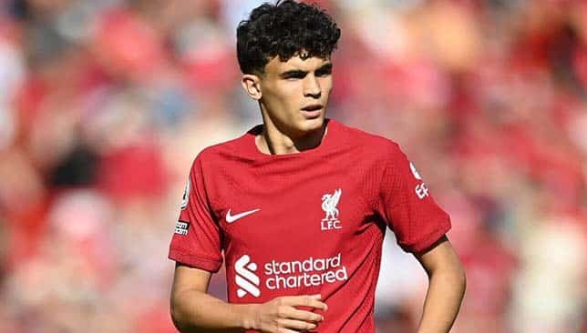 ستيفان باجيتشيتش (غيتي)